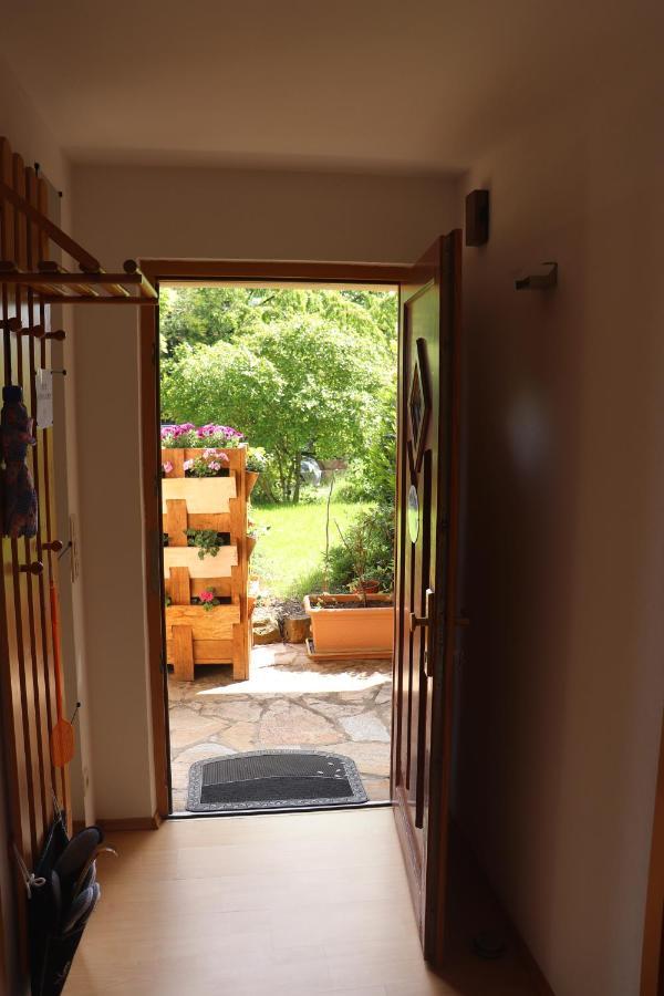 Ferienwohnung Pimer Ranschbach Екстериор снимка